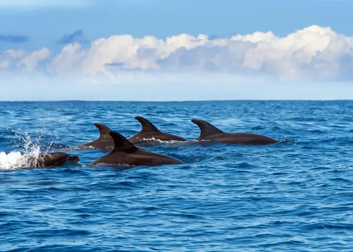 Art Deco Apartments, Funchal (Madeira)