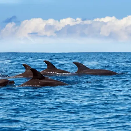 Art Deco Apartments, Funchal (Madeira)